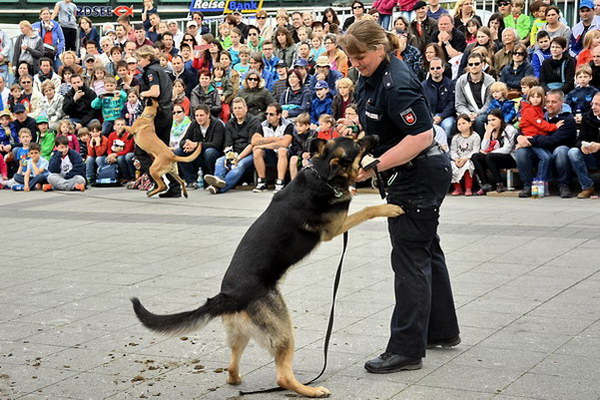 Polizeishow   024.jpg